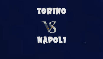 Torino v Napoli highlights