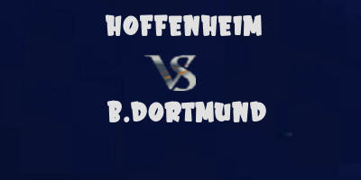 Hoffenheim vs Borussia Dortmund highlights